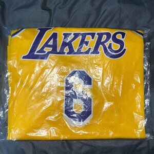 Nike Los Angeles Lakers Lebron James 2022-23 Icon Edition Swingman Jersey (M)